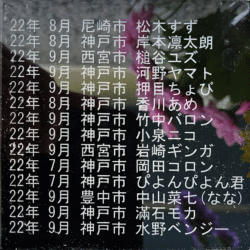 ペット霊園合同墓地にお付けする22年9月のメモリアルプレートが出来ています。