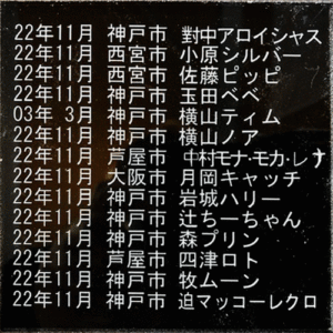 22年11月と12月中旬までのメモリアルプレートができました。