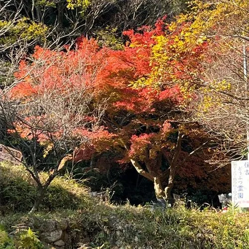 共有のお庭のような合同埋葬地