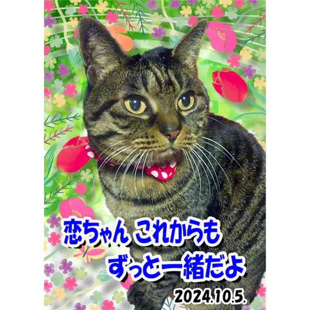 神戸住吉ペット霊園では、あなたの大切なペットの思い出を心から...