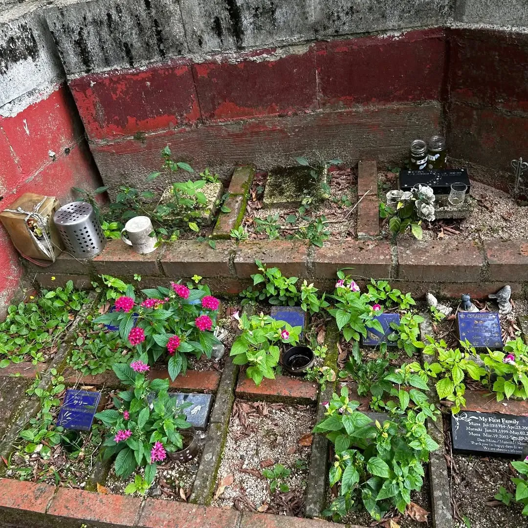 手元供養の骨壺、埃をかぶっていませんか？