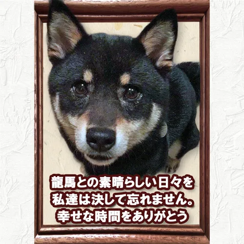 龍馬ちゃんのメモリアルプレート|神戸住吉ペット霊園 にじの橋舎