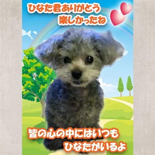 トイプードルのひなたちゃんのメモリアルプレートが出来ました。