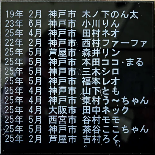 私たちのペット霊園では、愛するペットたちの思い出を大切にする...