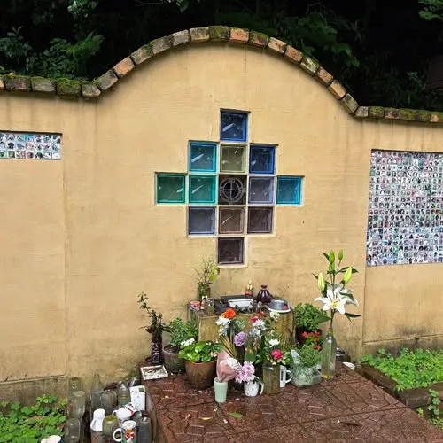 マルチーズのラブちゃんがもたらしてくれた数々の大切な思い出を...