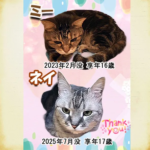 ネイちゃんとミーちゃんのメモリアルプレート｜心に残るペット葬儀