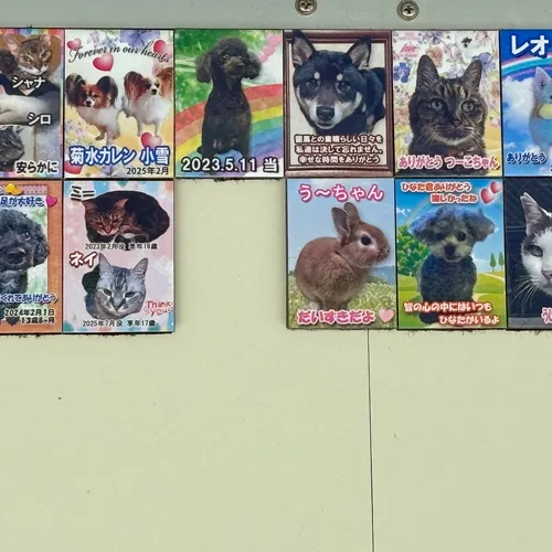 愛されていた家族の一員がいつまでも心に残るよう、特別なメモリ...
