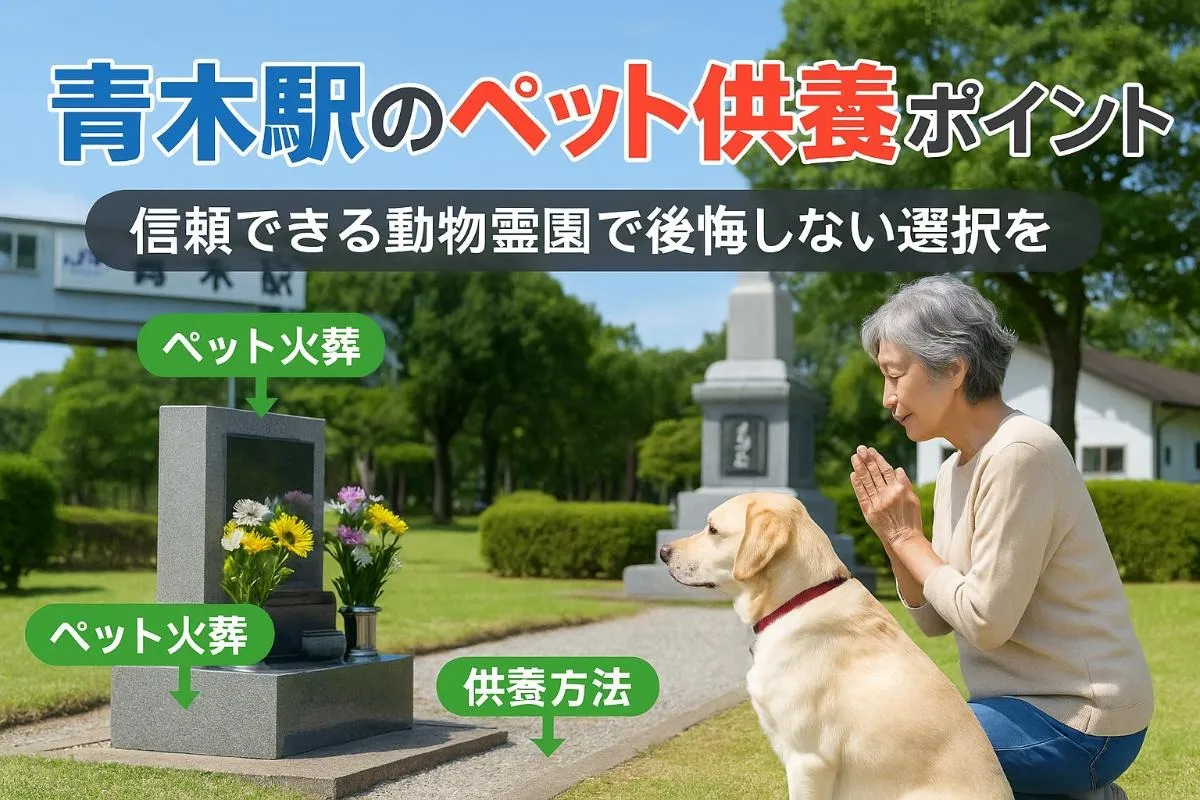 青木駅の動物霊園で安心のペット火葬と供養を選ぶポイント