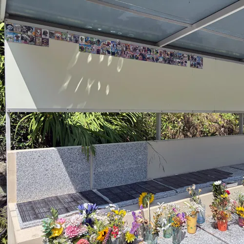 亀のあおちゃんのために特別なメモリアルプレートが完成いたしま...