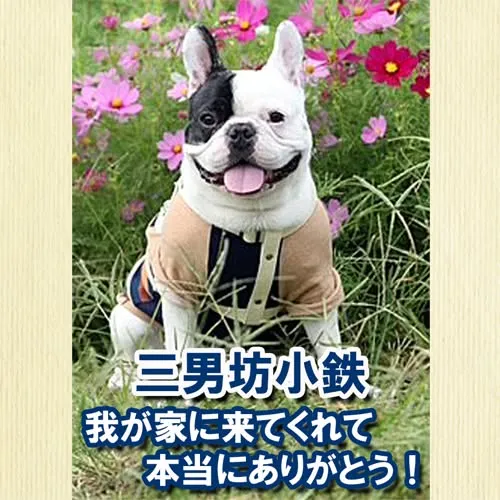 フレンチブルドッグの小鉄君のメモリアルプレートが出来ました。