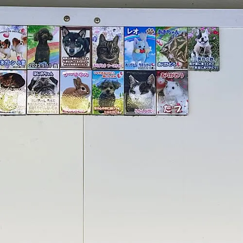 フレンチブルドッグの小鉄君のメモリアルプレートが出来ました。