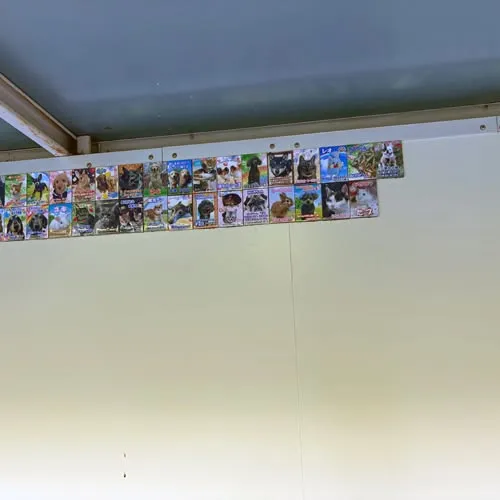 パグのはじめちゃんのメモリアルプレートが完成し、ペット霊園の...