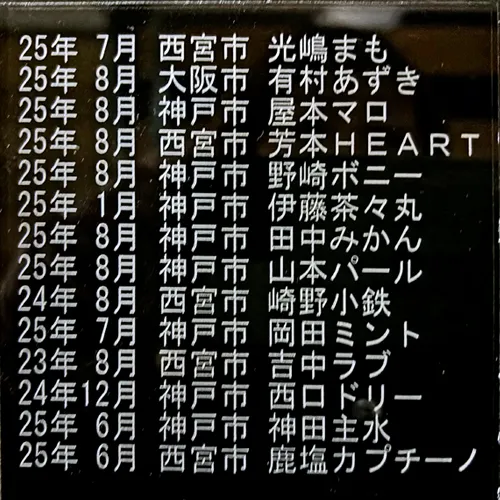 合葬墓地に刻む大切なペットの名前|25年8月から9月初旬
