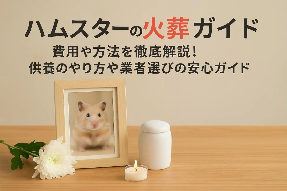 ハムスターの火葬について費用や方法を徹底解説！供養のやり方や業者選びの安心ガイド