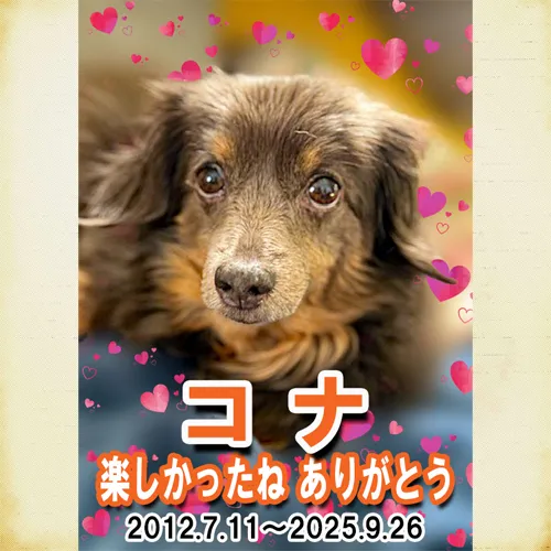 ミニチュアダックスのコナちゃんのお写真のメモリアルプレートが...