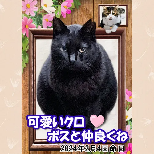 皆様の大切なパートナーであるペットたちとの心温まる思い出を形...
