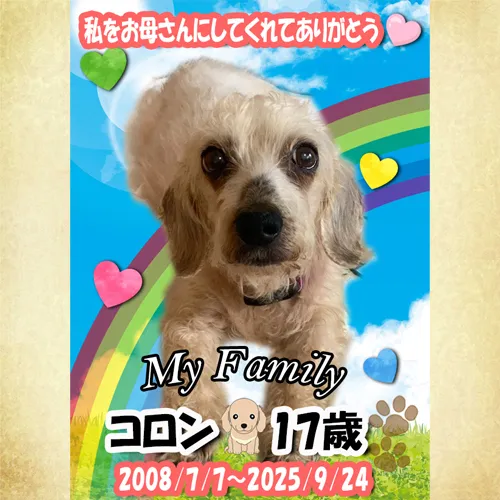 コロンちゃんのお写真のメモリアルプレートが出来ました。