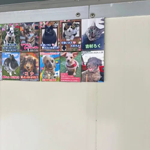 にじの橋舎のペット霊園では、ご家族様の想いを大切にするため、...