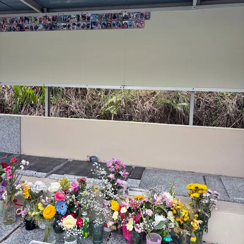 ミニチュアダックスのいちごちゃんの思い出を形に――私たちのペ...