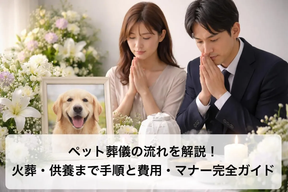 ペット葬儀の流れを解説！火葬・供養まで手順と費用・マナー完全ガイド