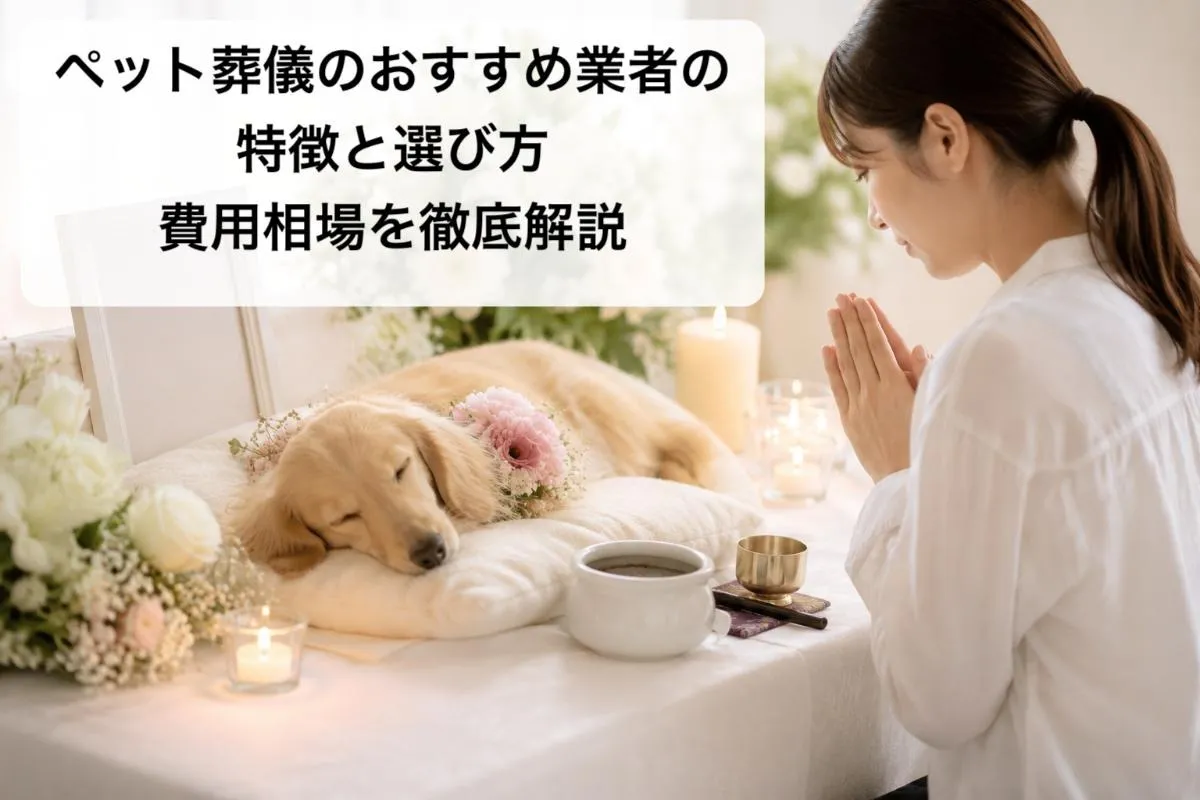 ペット葬儀のおすすめ業者の特徴と選び方・費用相場を徹底解説