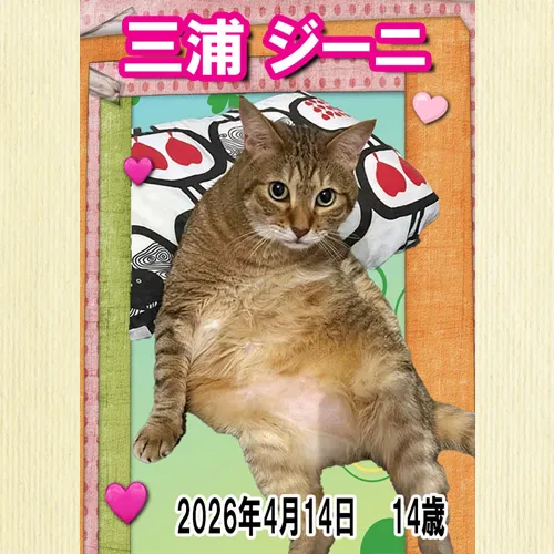 優しい時間を共に過ごした思い出。
