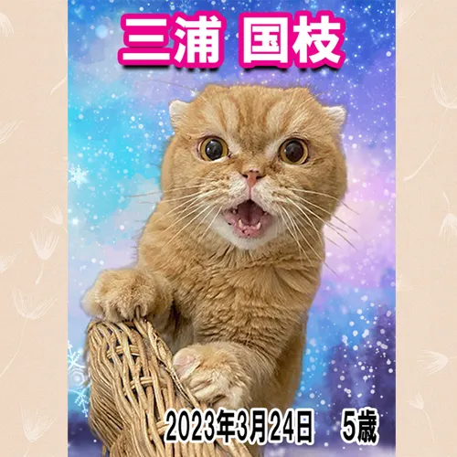 優しい時間を共に過ごした思い出。