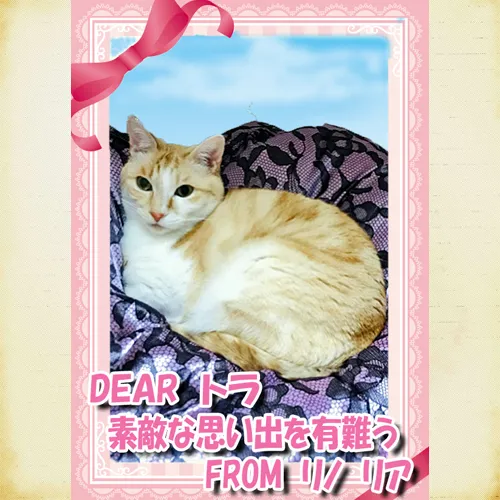 トラちゃん、いつまでも心の中に。