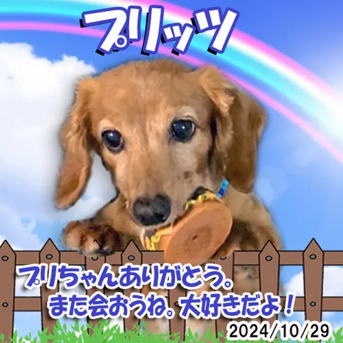 トッポちゃんとプリッツちゃんの写真のメモリアルプレートをおつ...