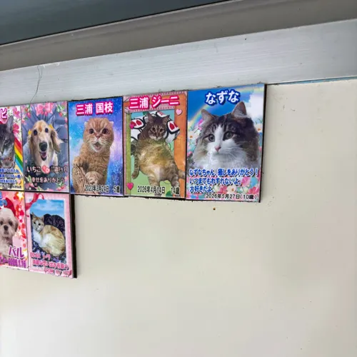 なずなちゃんの美しいメモリアルプレートが完成しました。