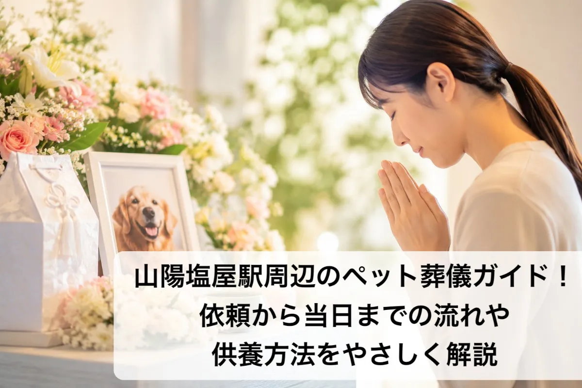 山陽塩屋駅周辺のペット葬儀ガイド！依頼から当日までの流れや供養方法をやさしく解説