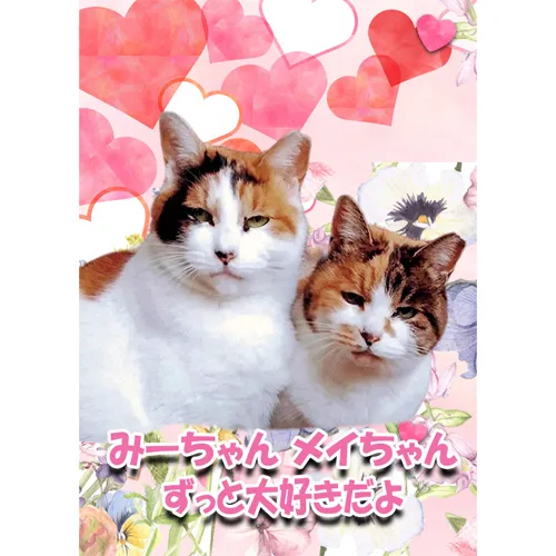 猫好きな皆様へ。