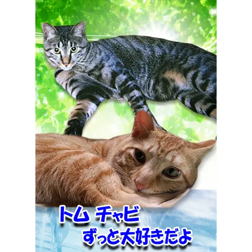 猫好きな皆様へ。