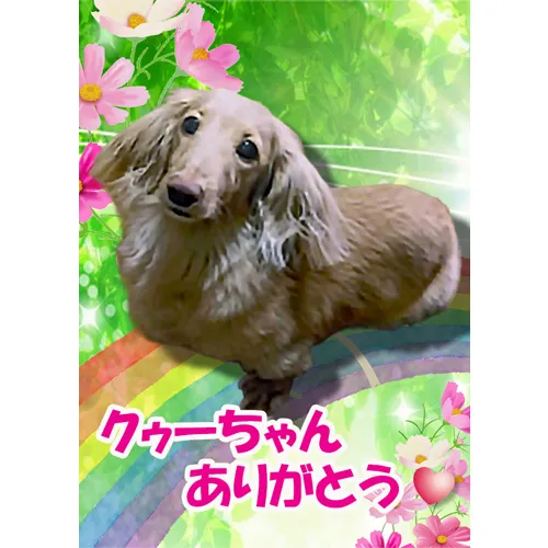 これまで大切なご家族と共に過ごした日々を振り返り、心温まる想...
