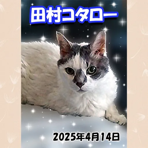 思い出を温かく包む。