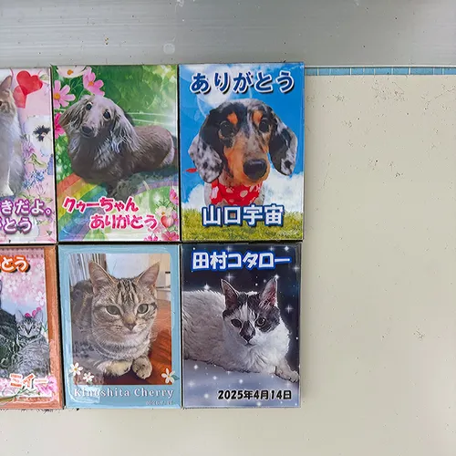 思い出を温かく包む。