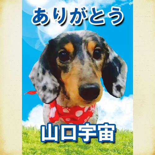 特別な思い出を刻む。