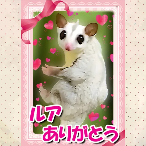 小さな命とも、思い出は永遠です。