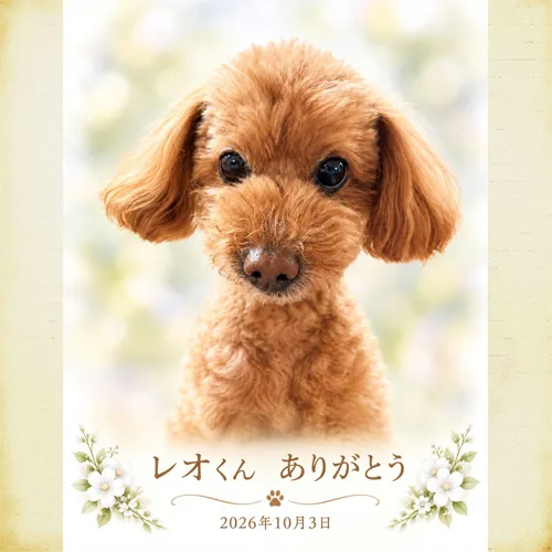 心からのお別れをサポートします