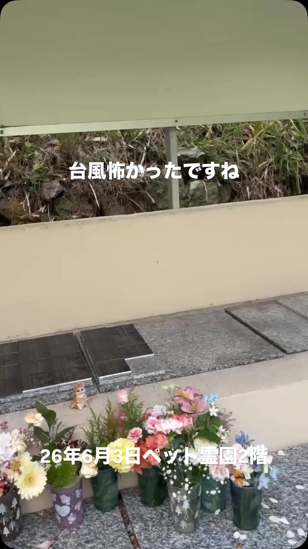 26年6月3日のペット霊園の様子です。