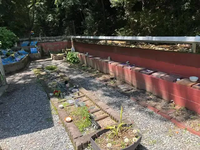 26年6月13日のペット霊園1階の様子です。